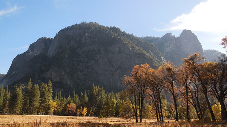 Sentinel cook's meadow loop new arrivals