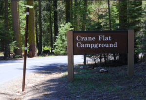 Crane Flat Campground