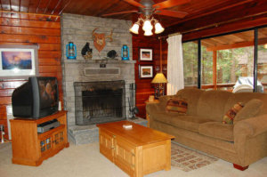 living room with stone fireplace, television, and couches