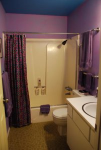 bathroom with shower tub