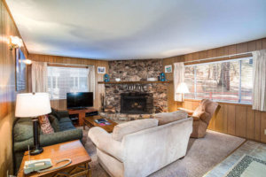 living room with stone fireplace and couches