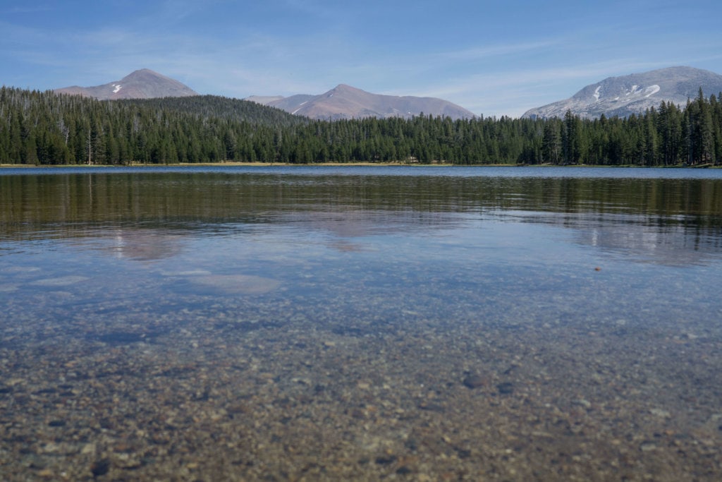 Dog lake by Kim Lawson 2017