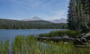 Dog lake by Kim Lawson