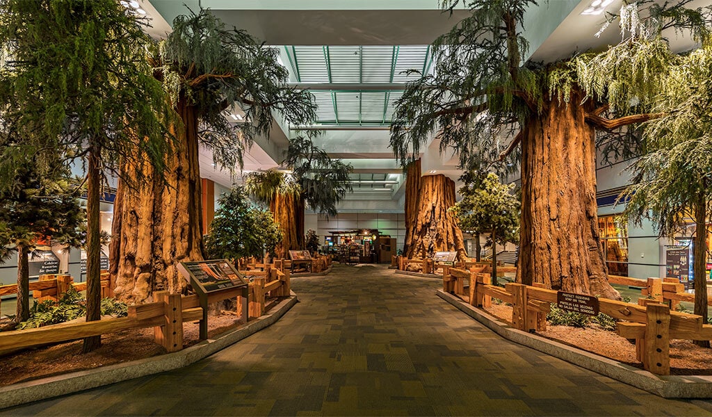 Giant sequoia display in Fresno International Airport