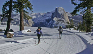 cross country skiing Yosemite