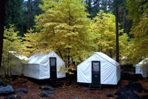 Fall, Tent Cabins, Half Dome Village, Curry Village, Camp Curry