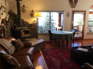 living room with wood stove