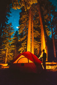 Yosemite camper enjoys a star-filled sky.