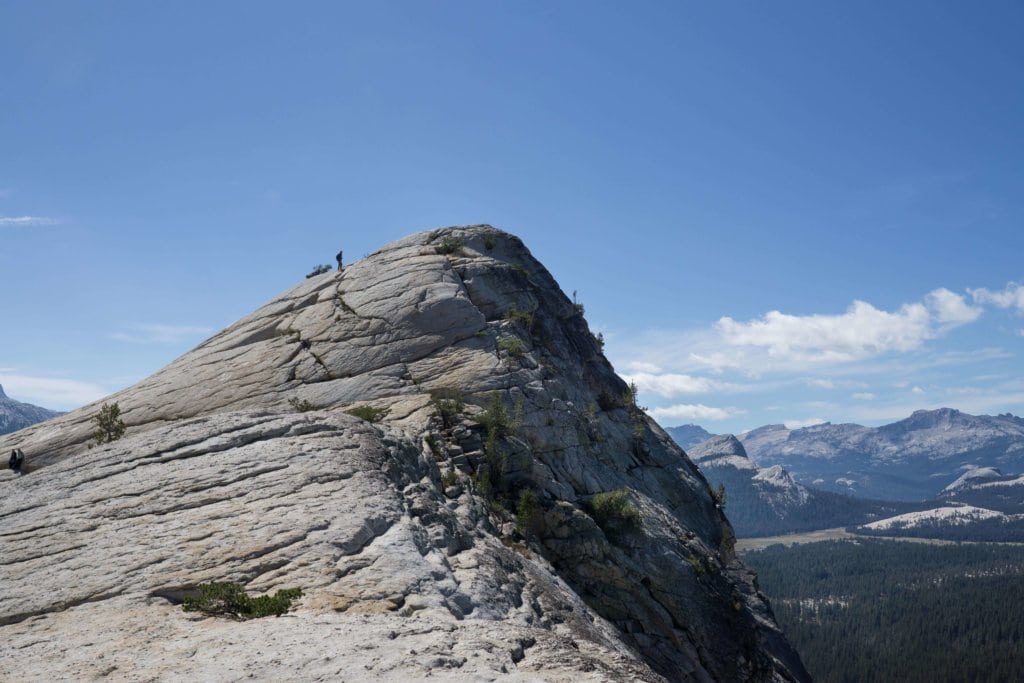 Lembert dome hotsell hike