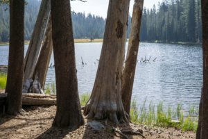 Lukens-Lake-Yosemite-KimLawson-LR-5