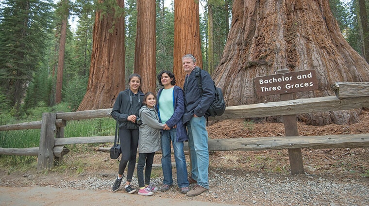 a family in front of a sequoia in mariposa grove