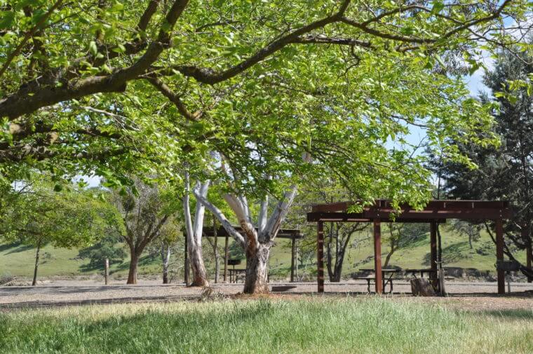 lake mcswain campground