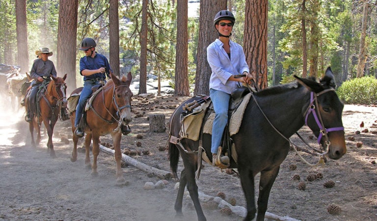 horseback riding tour in yosemite