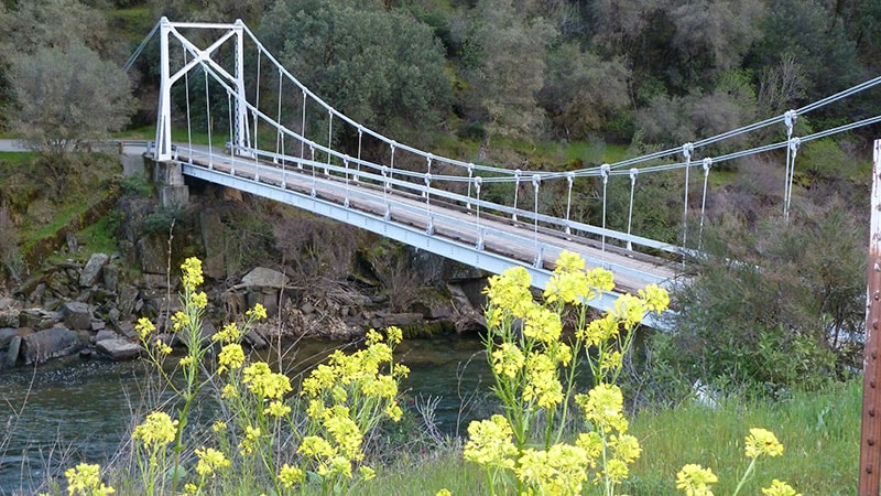 Wildflowers and Briceburg Bridge