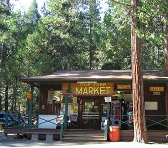 Pine Tree Market Shopping Yosemite Mariposa