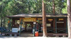 Pine Tree Market Shopping Yosemite Mariposa