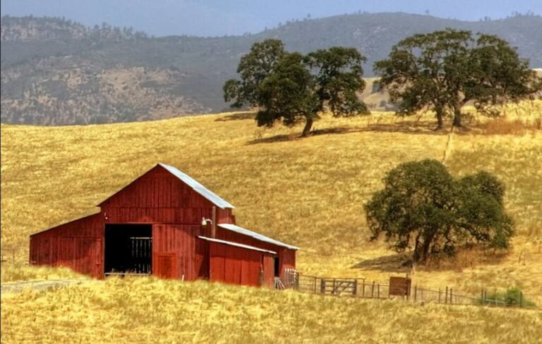 Red Barn Catheys Valley Mariposa County CA Steven dos Remedios