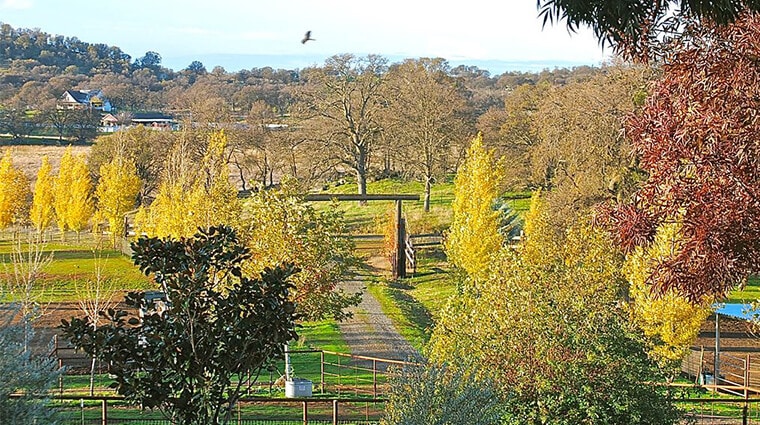 Roundhat Ranch in Catheys Valley