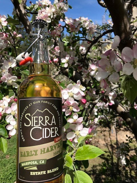 Bottle of Sierra Cider in the orchard