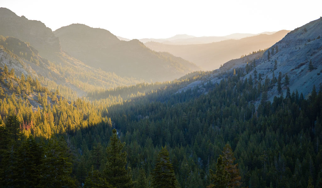 Stanislaus National Forest