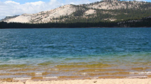 Tenaya Lake Yosemite