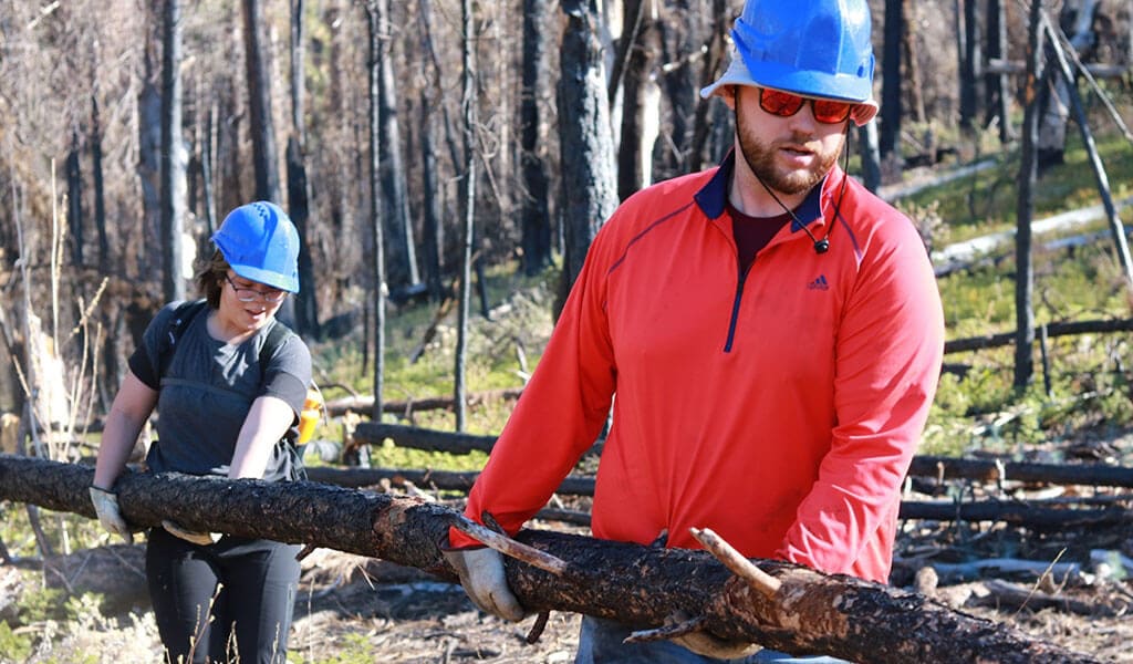 Two volunteers carrying a log together