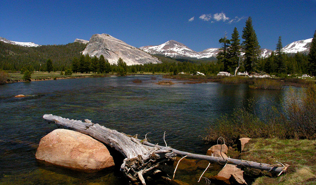 View of Lembert Dome from Tuolumne Meadows