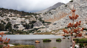 vogelsang high sierra camp