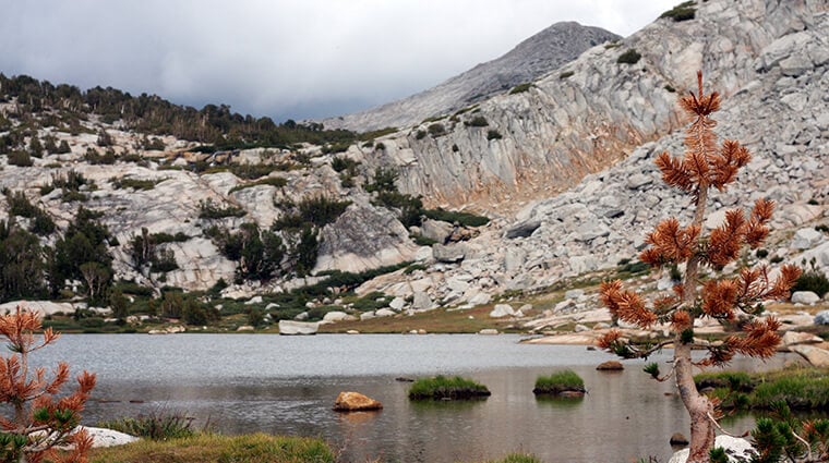 vogelsang high sierra camp