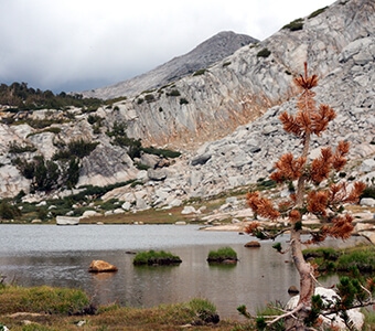 Vogelsang High Sierra Camp