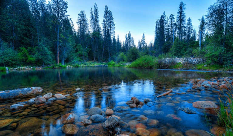 quiet river reflecting the surrounding forest