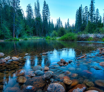 Wawona Campground