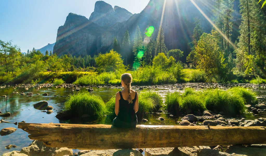 Field Guide to Feeling Good: Yosemite Mariposa Wellness