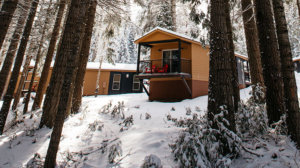 Tenaya at Yosemite Explorers Cabin in winter