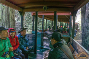 Groups enjoying the covered cars aboard the narrow gauge train