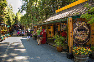 Visit the Thornberry Museum and gift shop at the Yosemite Mountain Sugar Pine Railroad