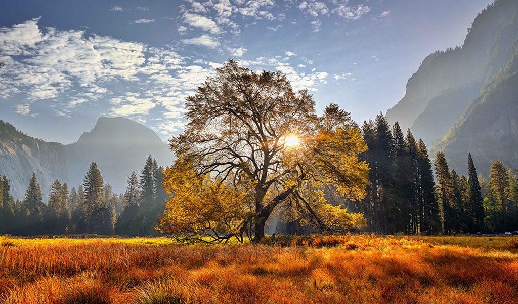 Yosemite Hikes: Valley Loop Trail in November