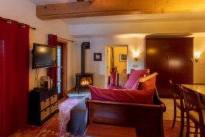 living area with wood stove and television