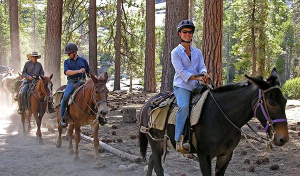 Horseback riding in Yosemite