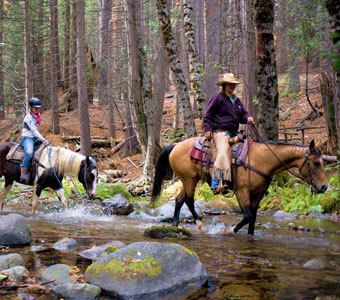 Yosemite Trails Saddle and Sleigh Company