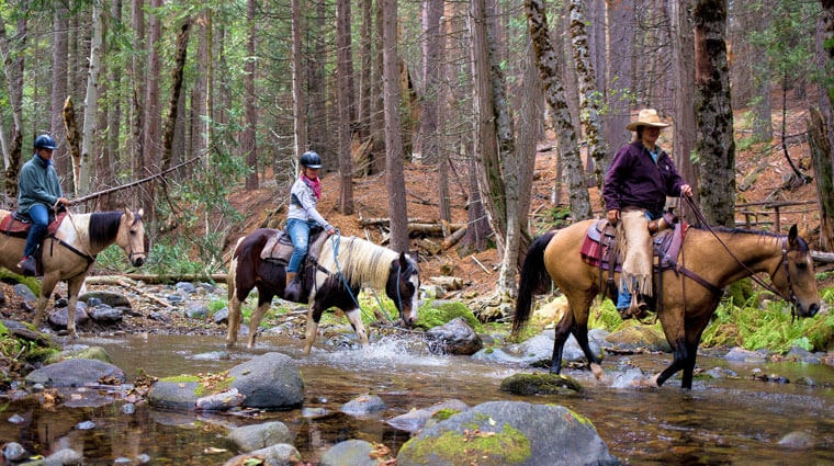 horseback riding with Yosemite Trails Saddle and Sleigh Company