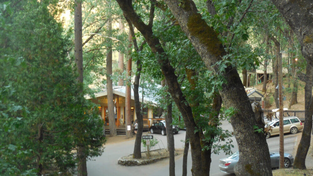 Yosemite Bug Rustic Mountain Resort