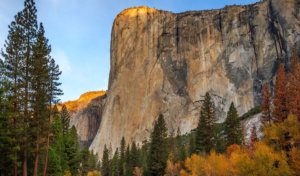 Autumn foliage near El Capitan