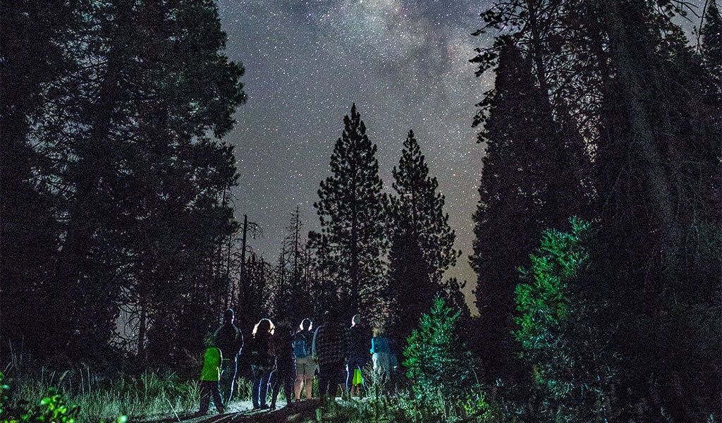 Group of people under the night sky in Yosemite