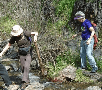 Briceburg Hiking Trail West