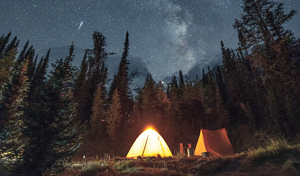 Camping tents set up in the forest under the Milky Way