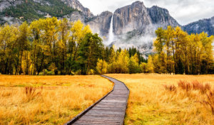 Fall color in chapel meadow with Yosemite Falls