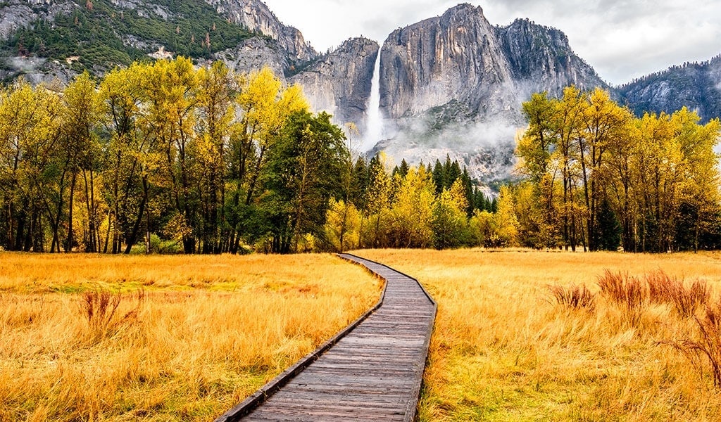 Fall color in chapel meadow with Yosemite Falls, an common stop on Yosemite tours