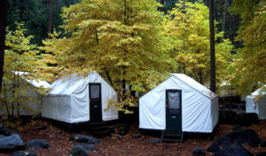 Curry Village tent cabins in Yosemite National Park