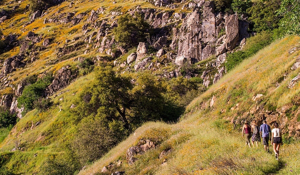 Group of hikers at Hites Cove during spring